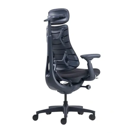 LiberNovo Omni 48 cm Ergonomic Chair (Black)